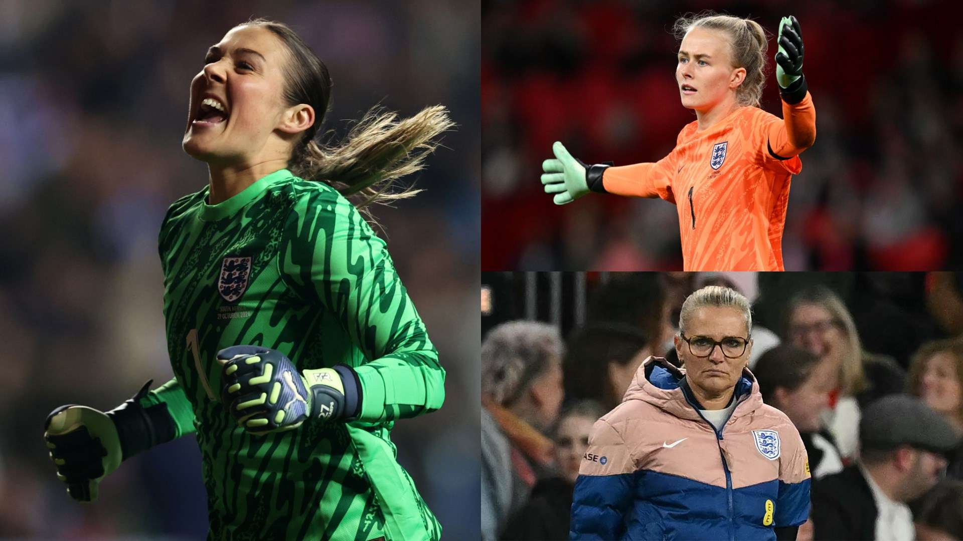 员倾向于个 员倾向于个